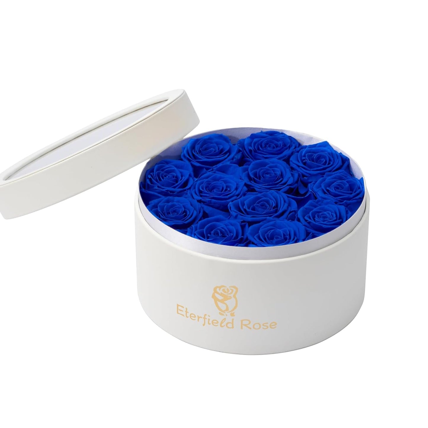 12 Real Vibrant Preserved Roses in a Box